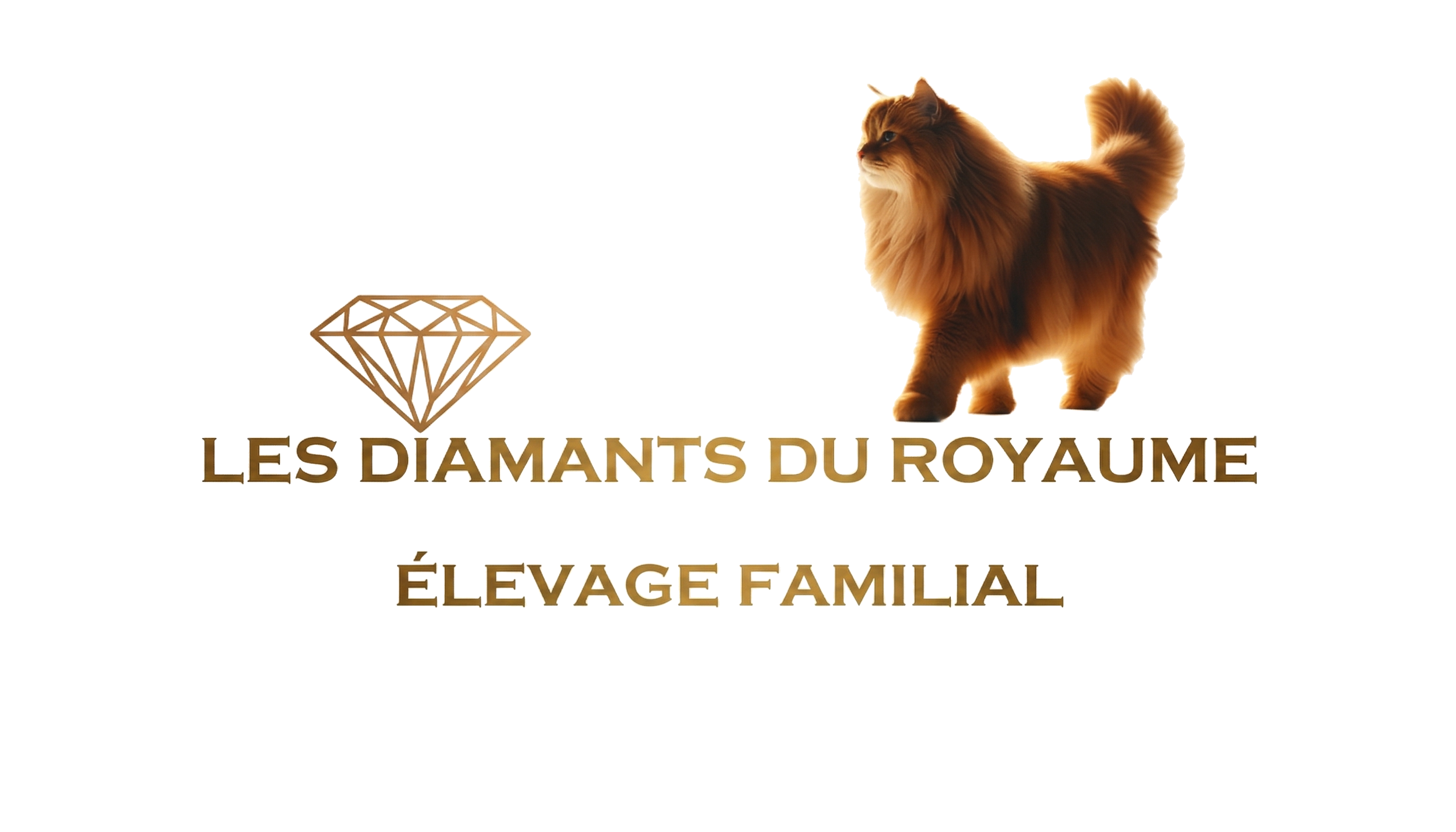 Les Diamants du Royaume
