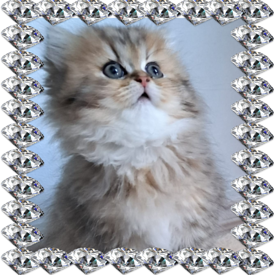 NOX