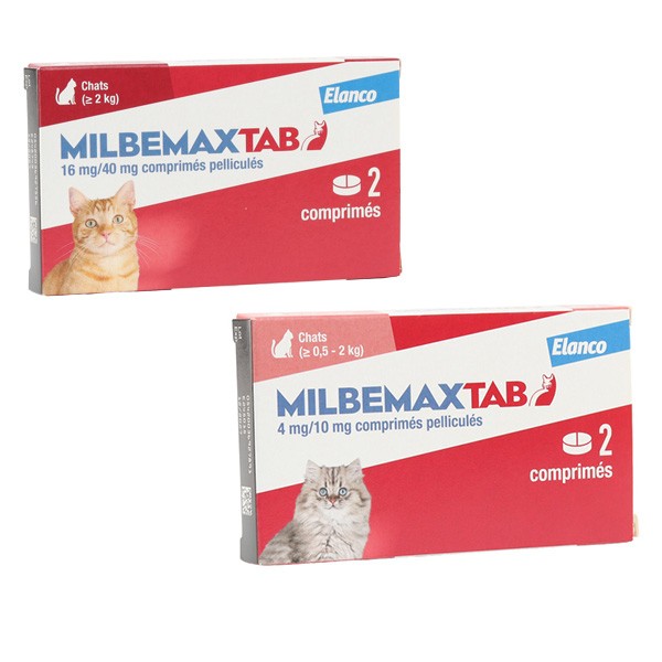 Milbemax Tab vermifuge chat