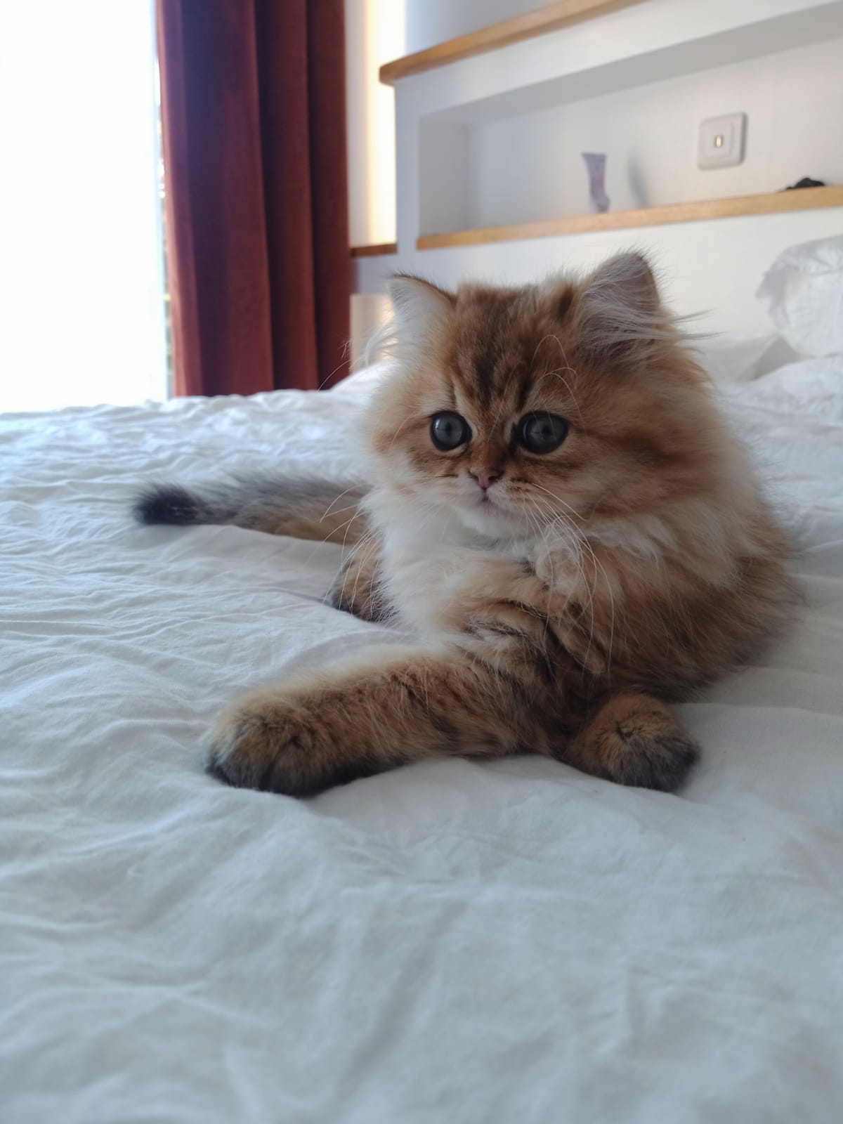 Tha&iuml;s
